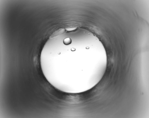 X0000088740317200706212101
