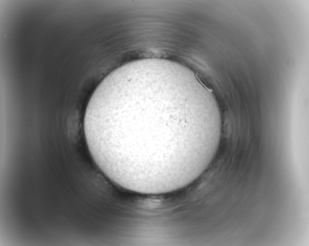X0000088740318200706212101