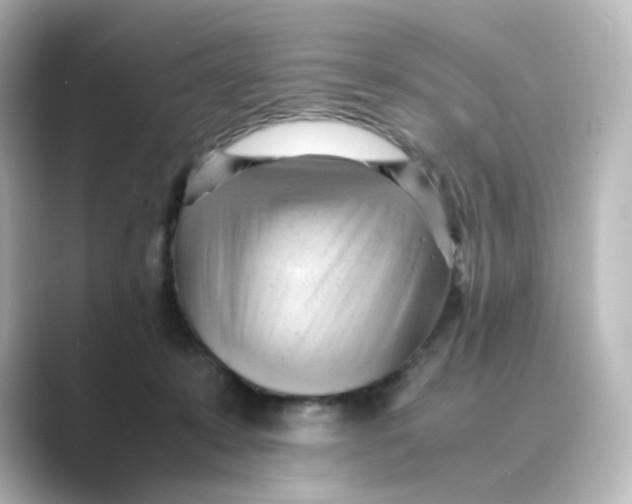 X0000088740319200706212101