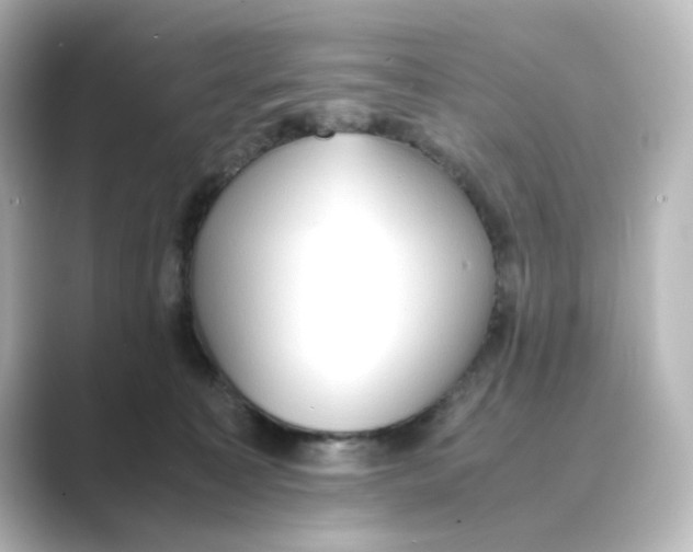 X0000088740323200706212101