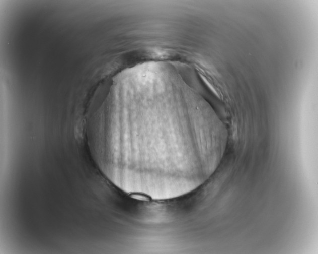 X0000088740325200706212101