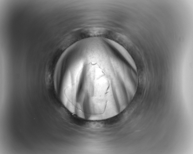 X0000088740327200706212101