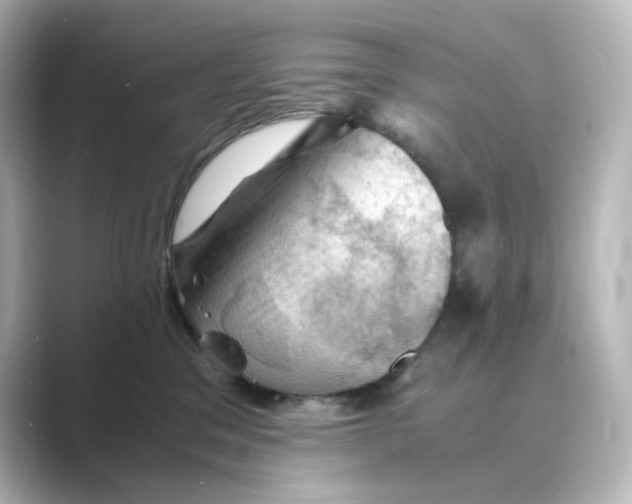 X0000088740329200706212101