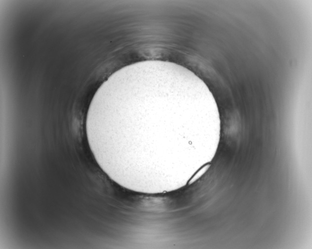 X0000088740332200706212101
