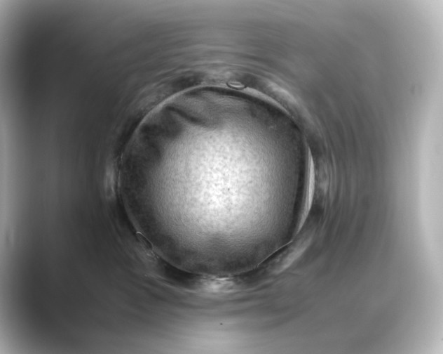 X0000088740333200706212101
