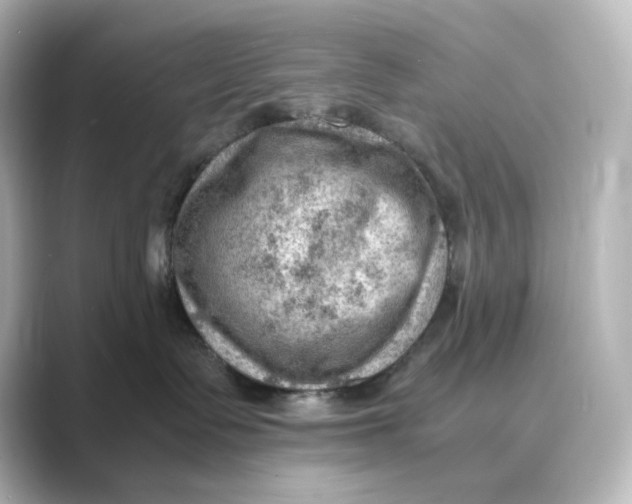 X0000088740335200706212101