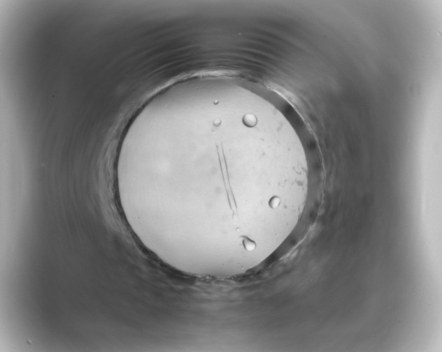 X0000088740337200706212101