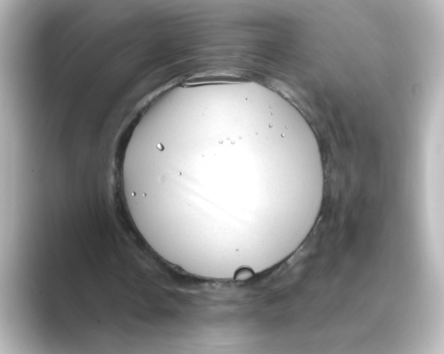 X0000088740338200706212101