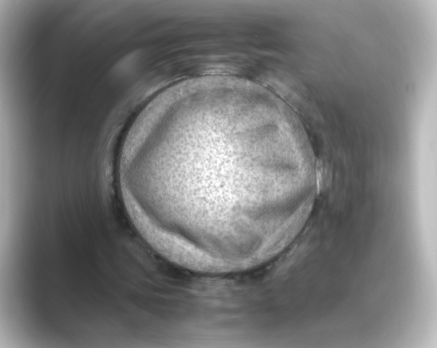 X0000088740339200706212101