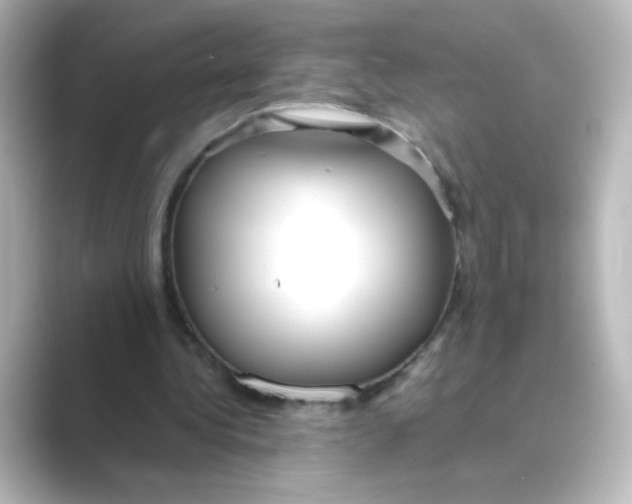 X0000088740340200706212101