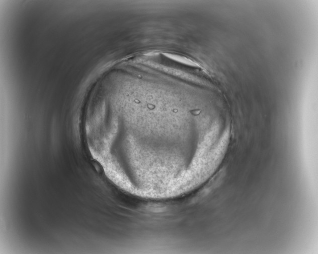 X0000088740341200706212101