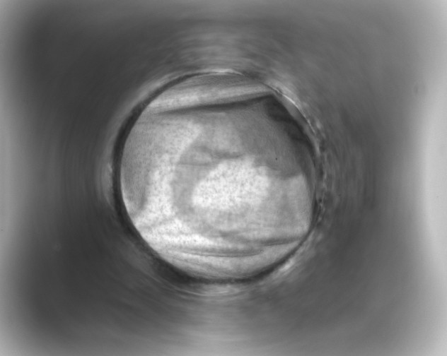X0000088740342200706212101