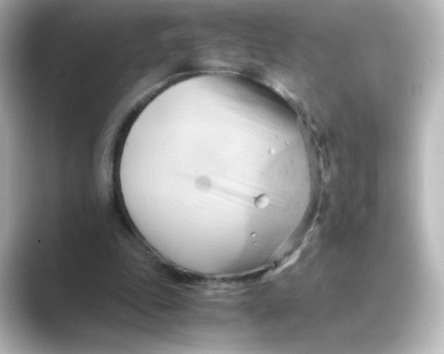 X0000088740343200706212101