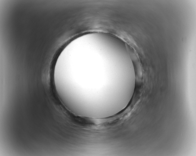 X0000088740344200706212101