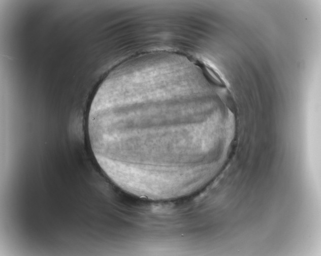 X0000088740345200706212101