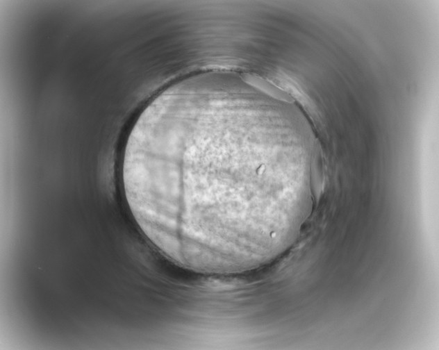 X0000088740346200706212101