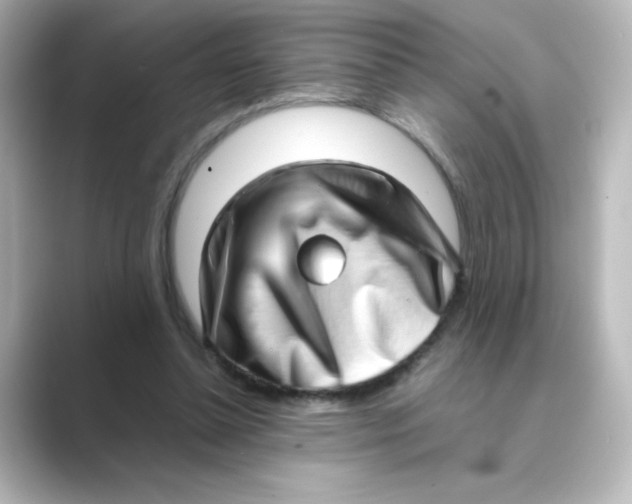 X0000088740348200706212101
