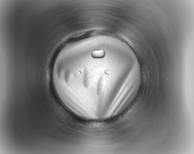 X0000088740350200706212101