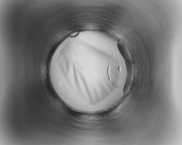 X0000088740351200706212101