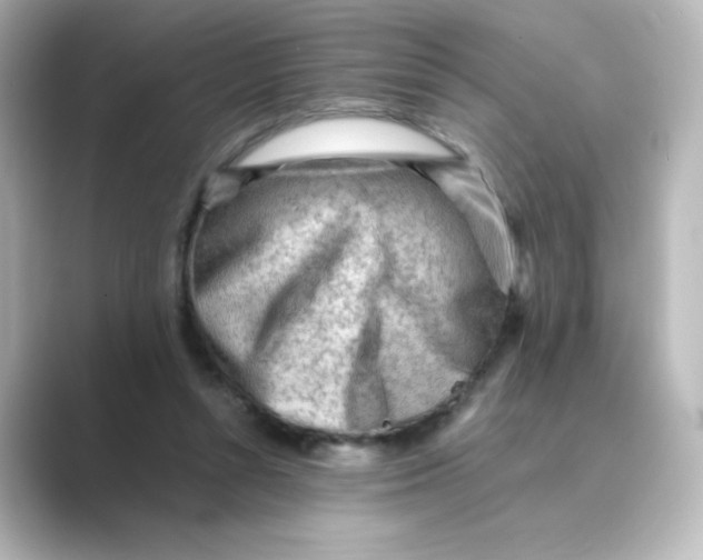 X0000088740352200706212101
