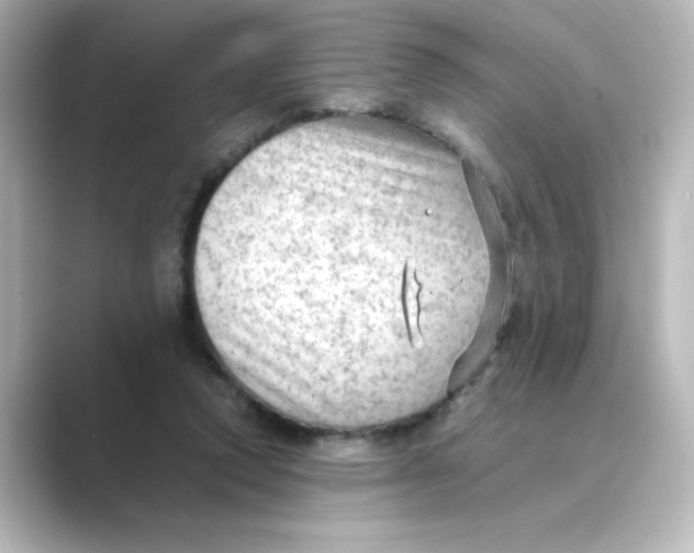 X0000088740354200706212101
