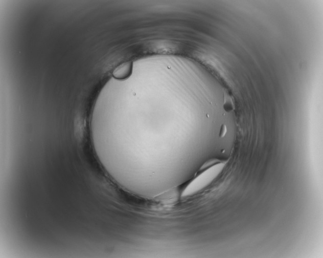 X0000088740355200706212101