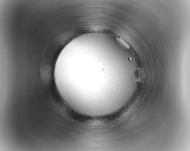 X0000088740356200706212101