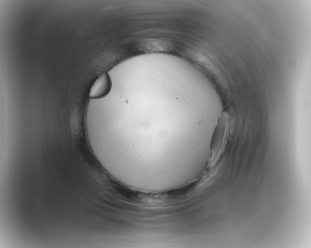 X0000088740359200706212101