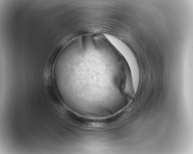 X0000088740360200706212101