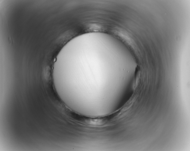 X0000088740361200706212101