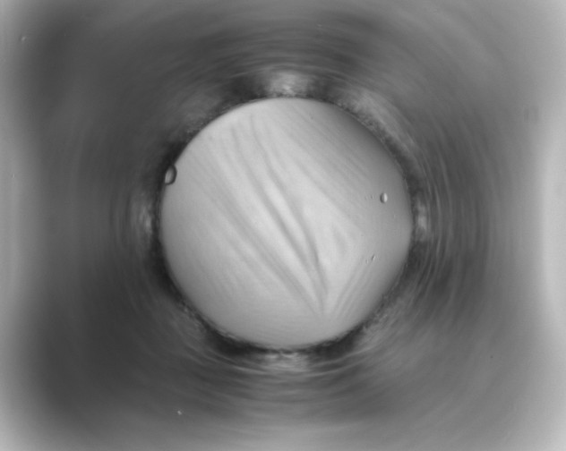 X0000088740363200706212101