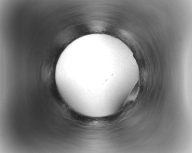 X0000088740364200706212101