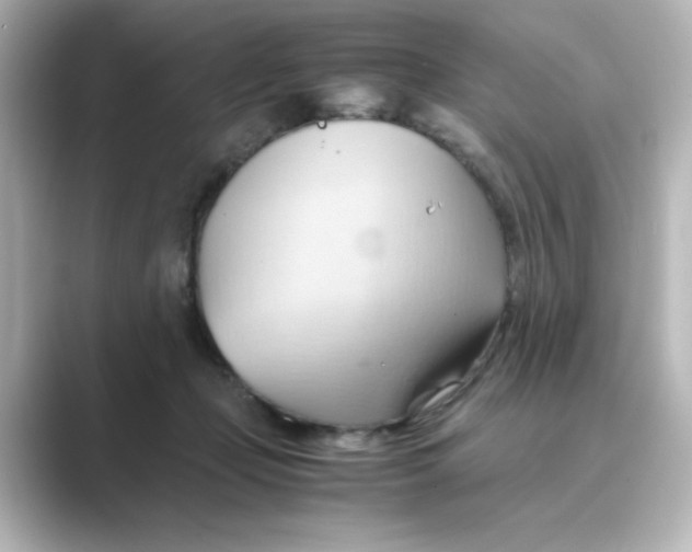 X0000088740365200706212101