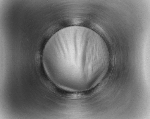 X0000088740366200706212101