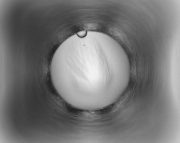X0000088740367200706212101