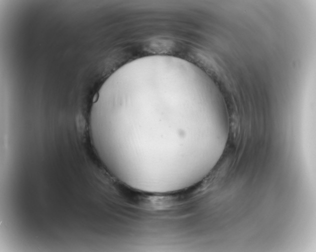 X0000088740371200706212101