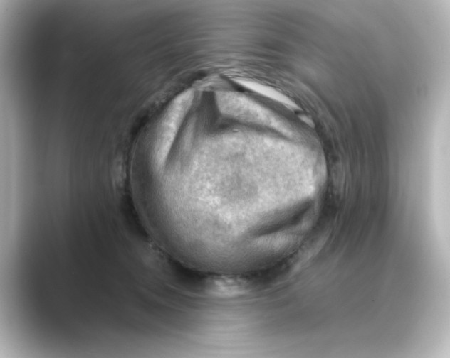 X0000088740372200706212101