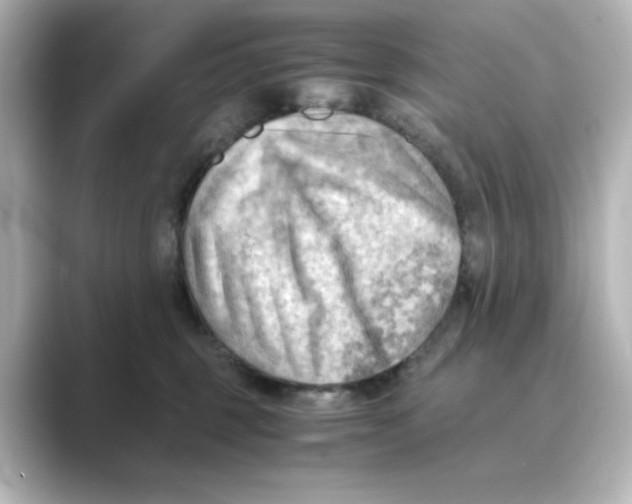 X0000088740375200706212101