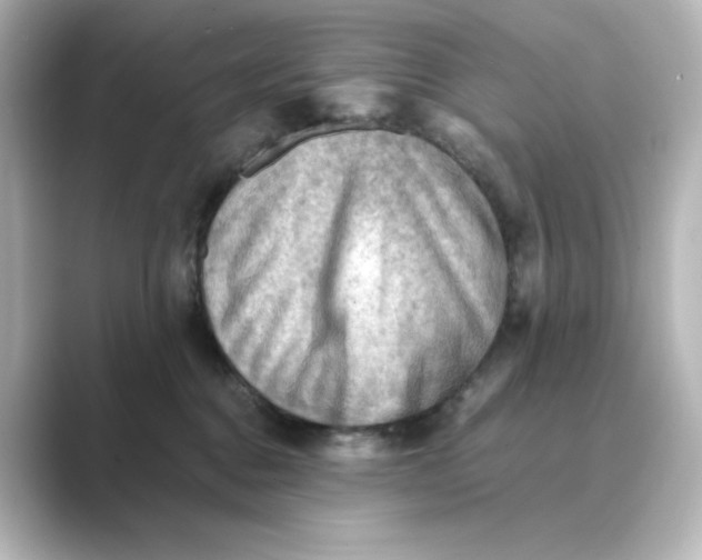 X0000088740376200706212101