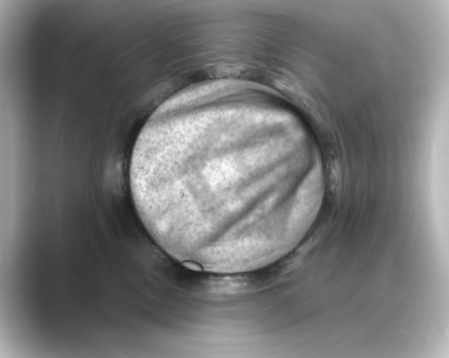 X0000088740378200706212101