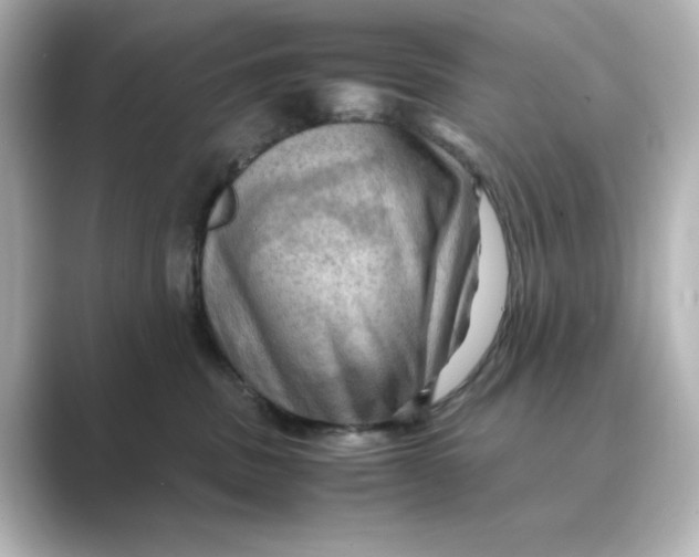 X0000088740379200706212101
