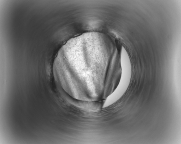 X0000088740380200706212101