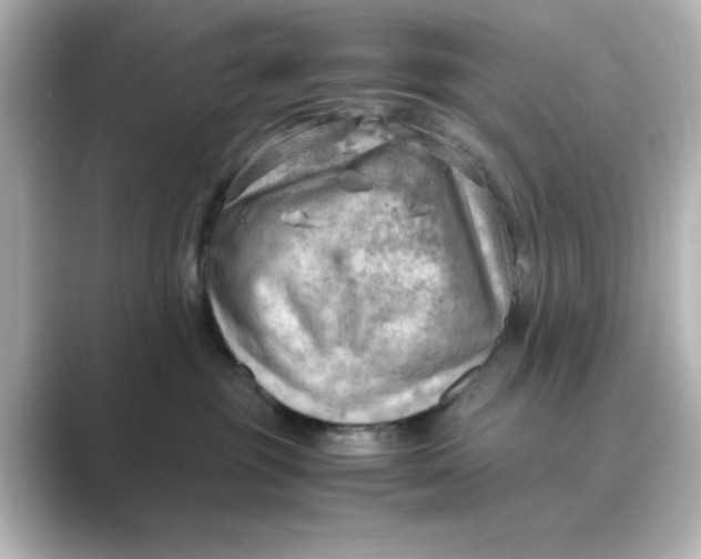 X0000088740381200706212101