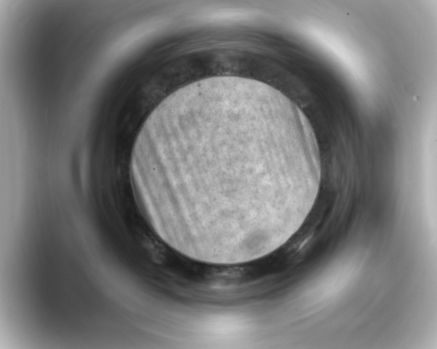 X0000088740382200706212101