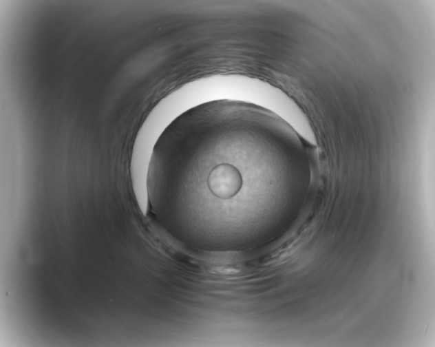 X0000088740383200706212101