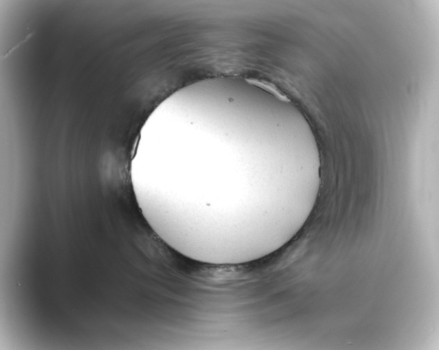 X0000088740384200706212101