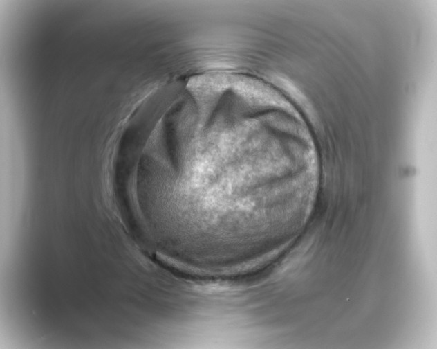 X0000088740385200706212100