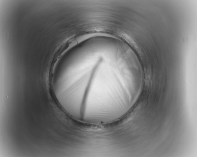 X0000088740386200706212100