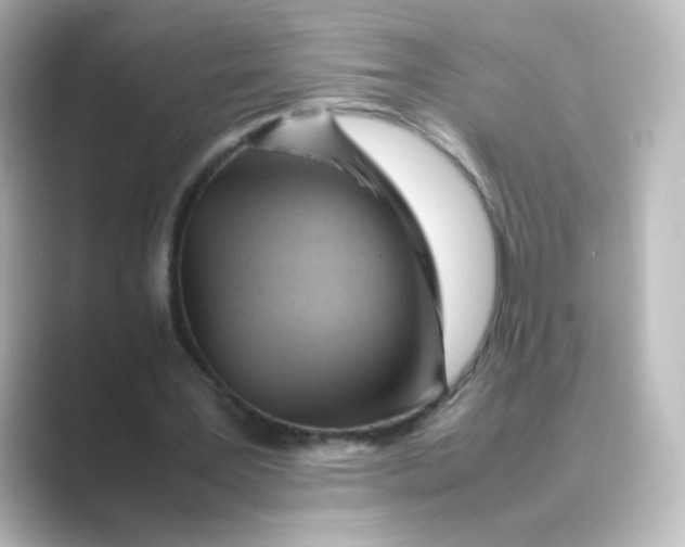 X0000088740387200706212100