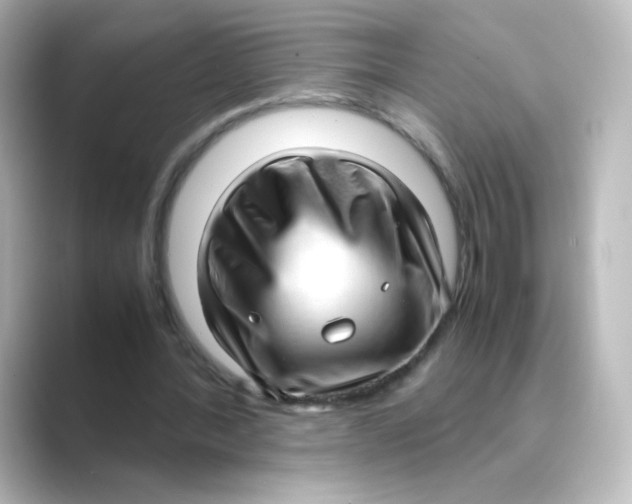 X0000088740388200706212100